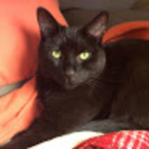 Meet your Posher, Fiona